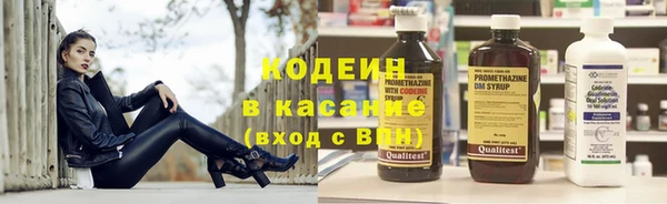 прущие грибы Нея