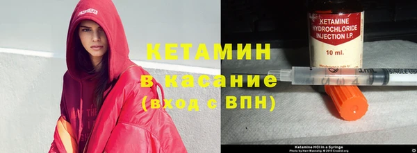прущие грибы Нея