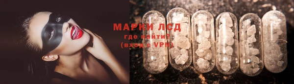 прущие грибы Нея