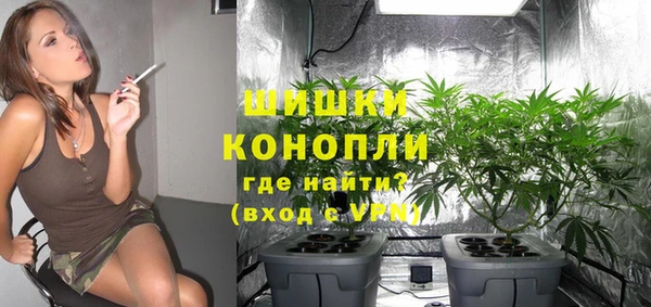 ГАЛЛЮЦИНОГЕННЫЕ ГРИБЫ Надым