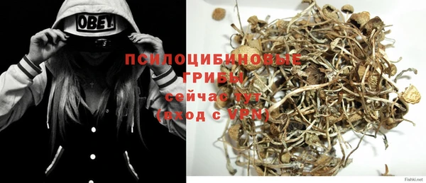 прущие грибы Нея