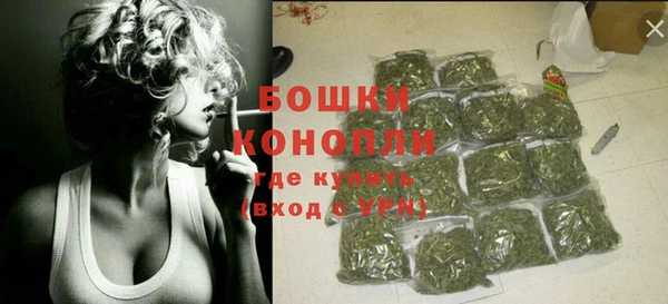 прущие грибы Нея