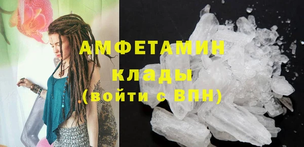 прущие грибы Нея