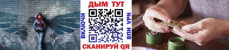 KRAKEN ONION  Северская  Шишки марихуана гибрид 